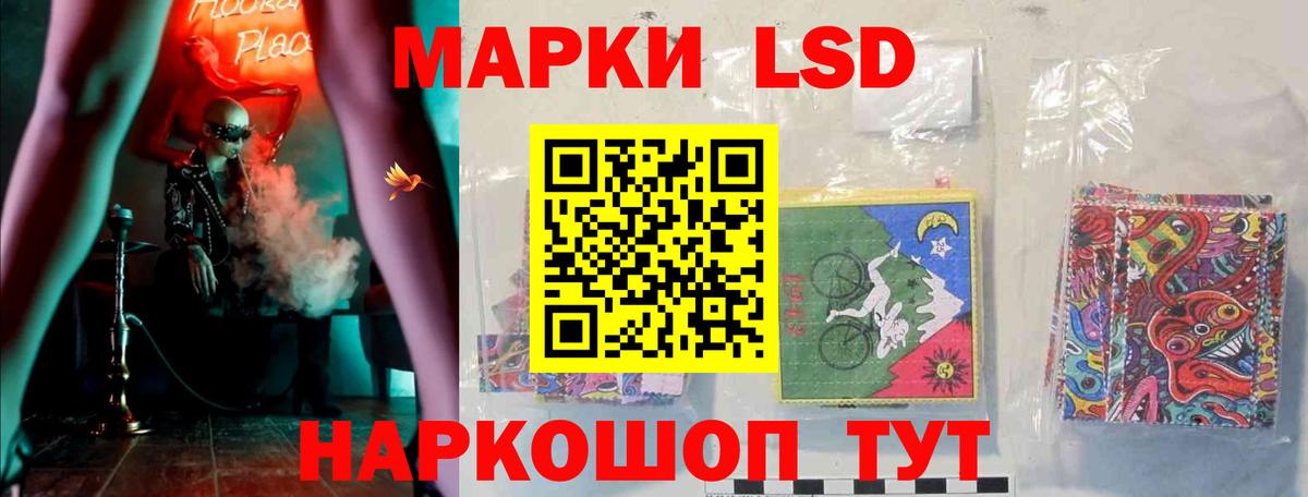Новозыбков  Лсд 25 экстази кислота  Вход с VPN  Лсд 25 экстази кислота 