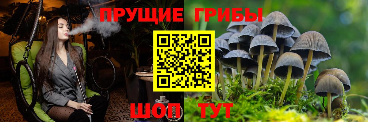 Псилоцибиновые грибы Magic Shrooms  Вход с VPN  Новозыбков 